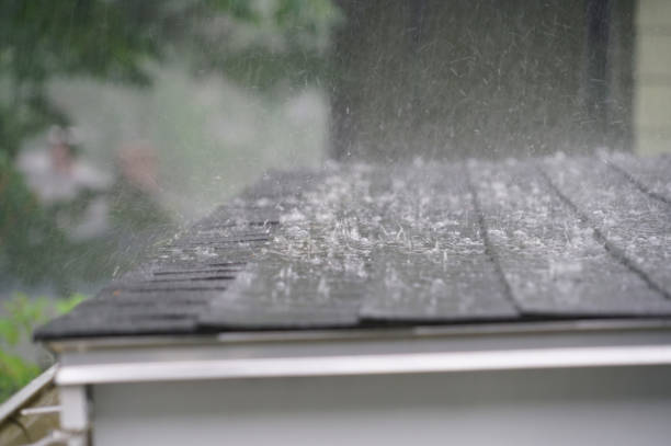 Best Skylight Installation and Repair  in Kyle, TX