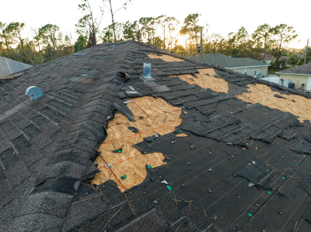 Best Asphalt Shingle Roofing  in Kyle, TX
